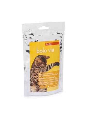 Candioli Bolo Via Gatti 20 Bocconcini