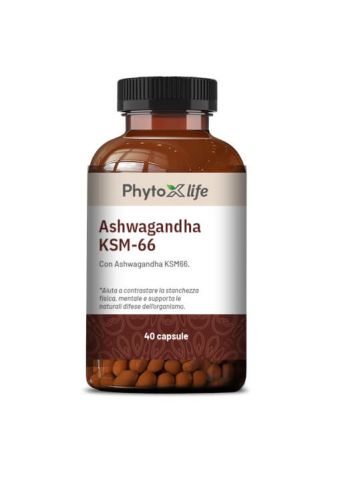 Phytoxlife Ashwagandha 40 Capsule