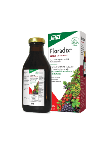 Salus Floradix Ferro 250ml