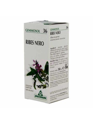 Specchiasol Gemmosol 36 Ribes Nero 50ml