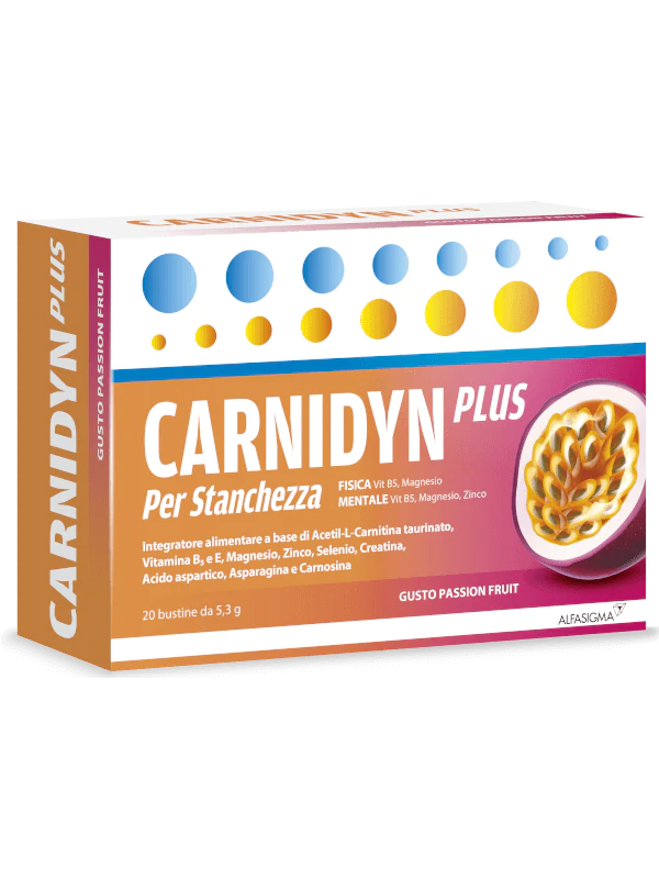 can i take l carnitine When To Take L Carnitine to Maximise Your Shredding and Beyond – BSc  Supplements