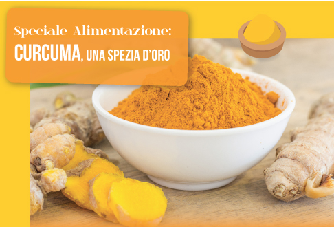 CURCUMA, UNA SPEZIA D'ORO