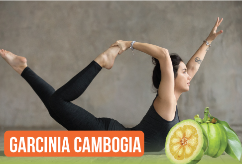 GARCINIA CAMBOGIA