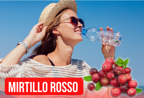 MIRTILLO ROSSO